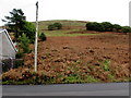 Hillside above Aber Road, Nantymoel