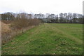 Pasture by the quarry workings