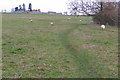 Footpath towards Manor Farm