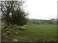 Farmland near Frongoch