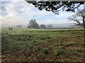 Field near Keyfox Farm