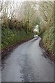 Narrow road approaching Lower Hergest