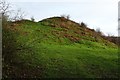 Castle Twts, Lower Hergest