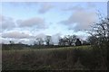 Field by Laundry Lane, Nazeing