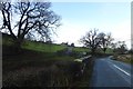 Gouthwaite Bridge