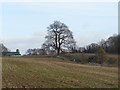 Field near Pirton, Worcestershire