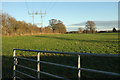 Field by Knaresborough Road