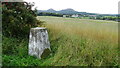 Trig point 107m W of St Boswells