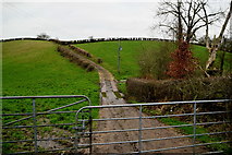 H5956 : A muddy lane, Fernamenagh by Kenneth  Allen