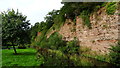 Cliffs at Jedbank overlooking Jed Water, Jedburgh