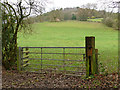 Gate into a field below Oldhill