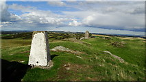NT6334 : Trig point near Smailholm Tower near Kelso by Colin Park