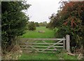 SK7505 : Entrance to grassed area by Andrew Tatlow