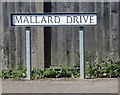 Mallard Drive sign on the western side