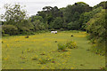 Field and footpath west of Nouale Lane