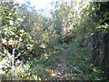 Public footpath west of Warstones