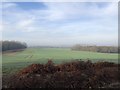 Fields between woodland