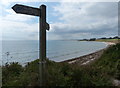 NU2612 : Northumberland Coast Path near Seaton Point by Mat Fascione