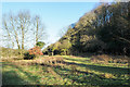 Roughly vegetated land beside River Derwent