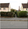 Path between hedges, Caerleon