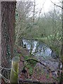 Pool by Neuadd Hendidley Farm, Beehive Lane