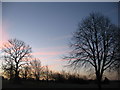 The Moon and Venus (2)