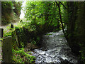 River Loveny upstream of St Neot 