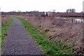 Path around the Flood Plain Forest