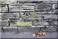 Benchmark on wall outside #271 Bradford Road