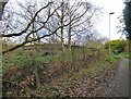 Path to Knott Fold bridge