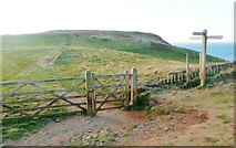 SX6739 : Junction of paths on Bolt Tail, Devon by Derek Voller