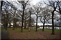 Trees beside Eastwood Road North