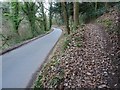 Path beside Knapp Lane