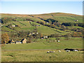 Upper Weardale west of St. John