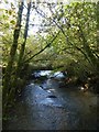 Stream south of Luxulyan village