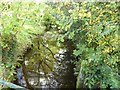 Stream at Roseny Mill