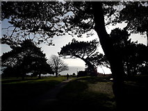 SZ0790 : Bournemouth: path under trees on the West Cliff by Chris Downer