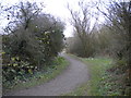 Path towards Snibston Grange Nature Reserve