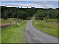 Lane heading north through the woods at Lochorine