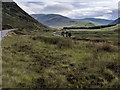 NO1485 : Glen Clunie and the A93, looking south by Rob Purvis