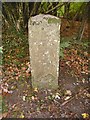 Old Milestone by the B4028, Coverham Inclosure