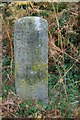 Old Milestone by Yorkley Slade, West Dean