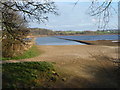 SE2824 : Western side, Ardsley reservoir by Christine Johnstone