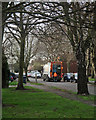 Bin day in Neville Road