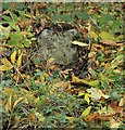 Old Milestone by the B4228, Tidenham Chase