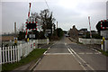 Severnscore crossing looking northwards