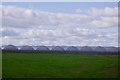 Polytunnels, Redcastle