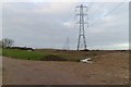 Electricity Pylons, Seasalter Levels