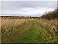 Footpath to Belle Vue