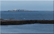NU2232 : View north towards Inner Farne by Mat Fascione